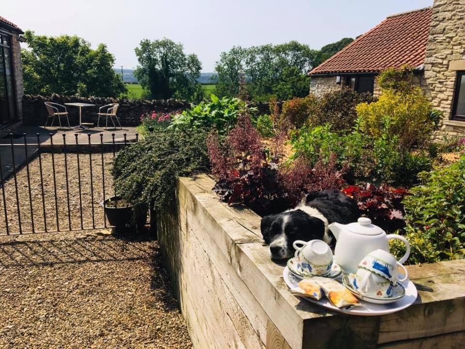 Valley View Farm Holiday Cottages Helmsley Kültér fotó